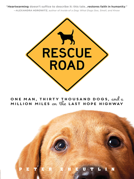 Cover image for Rescue Road
